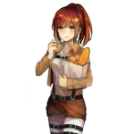 Team SNK