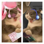 shipuluvvs