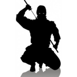 Ninjas From Outer Space