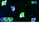 NYCW ~{New York Championship Wrestling}~