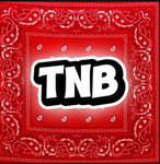 TNB | PPK