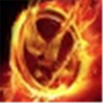 TheHunger Games Group