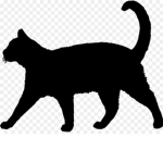 feline friends/furrys