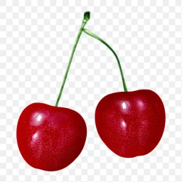 cherrys icon