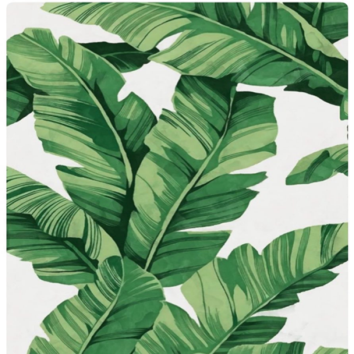 Art of tropical banana leaves Roblox decal