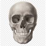 Gaminggamersuwu