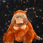 Toes of Jim the monkey