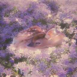 𝘺𝘰𝘶