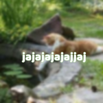 jajajajajajjaj