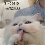 notANGEL$