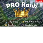 The Pro Islanders