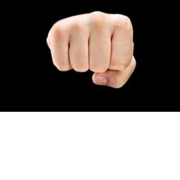 Fist Fighting [NEW!] icon