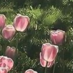 🌷