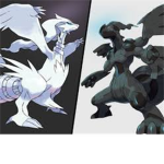 Pokemon Black & White Ultimate Fan Group