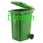 Binism