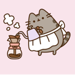 The Pusheen Fan Squad
