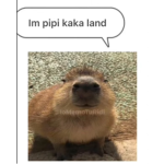 Caka land