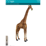 Orange girrafe