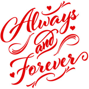 ✧ ♡ ✧ My Room ✧ ♡ ✧