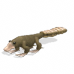 Epic Platypus