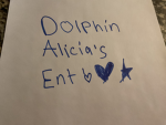 Dolphin Alicia’s Ent