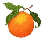Mandarin Studio
