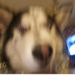 Scp founddation