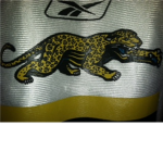 Jacksonville Jags Lovers