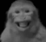 Wicked…
