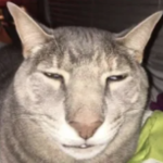 lem ok lemon