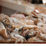 Squid_fisherman133
