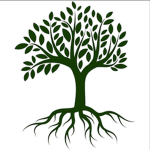 TREE TEAM CLUB