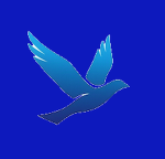 SkyCrest Airlines