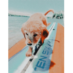Bᴇsᴛɪᴇss<3
