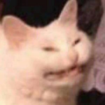Roblox Should Ban Aesthetics