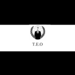 The Egyptian Organization
