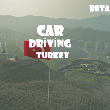 Car Driving Turkey (Beta)