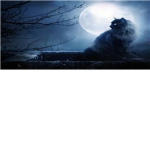 moonclan <3<3<3<3****