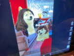 Doge1234567