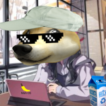 Gang Gang Doge