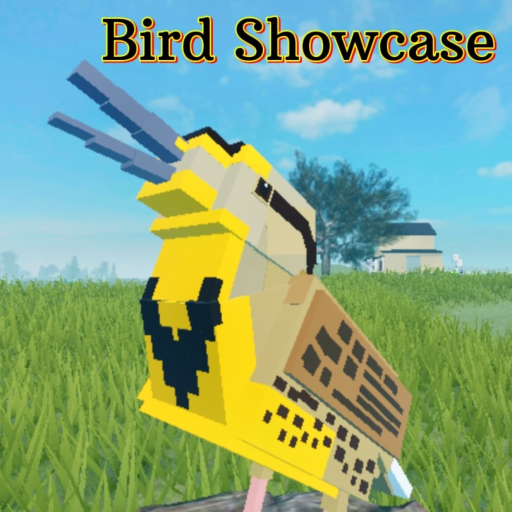 Raptor's Bird showcase
