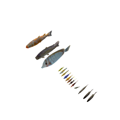 some fish