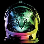 🐱 The Galaxy Cats 🐱