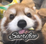 sacrafiice
