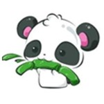 THE PANDA DEN