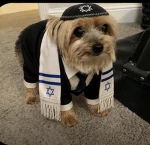 Robìox Group Thumbnail