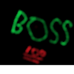 The Group of The Bosses