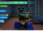police patrol law (PPL)