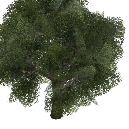 🌠 [New!] Tree Plant Forest Nature Hangout