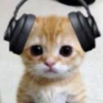 los gato hermanos